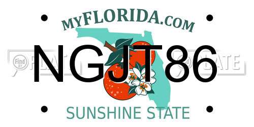 NGJT86 Florida License Plate