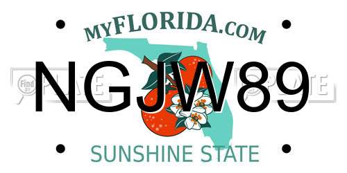 NGJW89 Florida License Plate