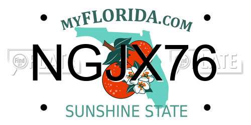 NGJX76 Florida License Plate