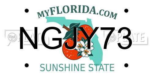 NGJY73 Florida License Plate