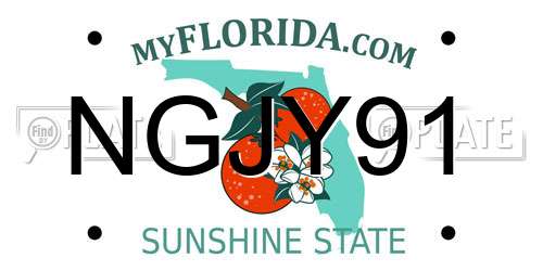 NGJY91 Florida License Plate
