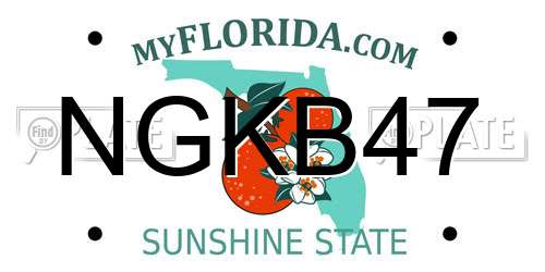NGKB47 Florida License Plate