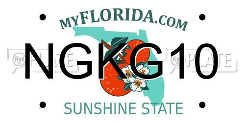 NGKG10 Florida License Plate