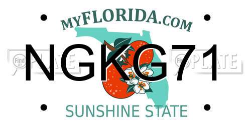 NGKG71 Florida License Plate