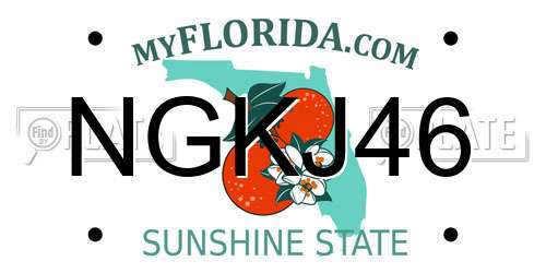 NGKJ46 Florida License Plate