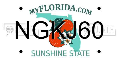 NGKJ60 Florida License Plate
