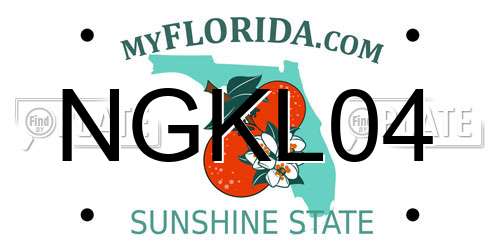 NGKL04 Florida License Plate