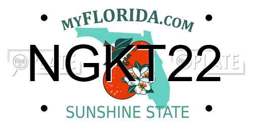 NGKT22 Florida License Plate