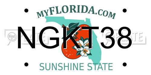 NGKT38 Florida License Plate