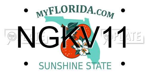NGKV11 Florida License Plate