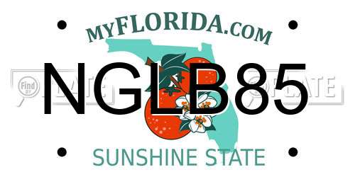 NGLB85 Florida License Plate