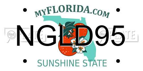 NGLD95 Florida License Plate