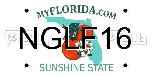 NGLF16 Florida License Plate