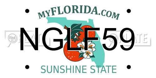 NGLF59 Florida License Plate