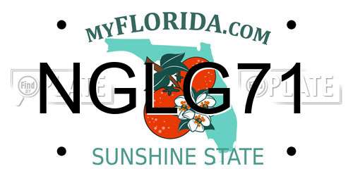 NGLG71 Florida License Plate