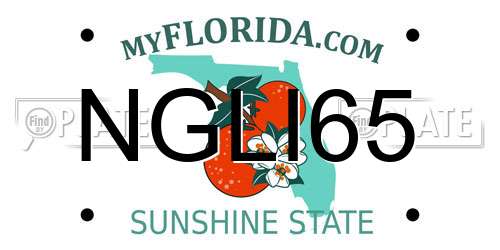NGLI65 Florida License Plate