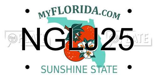 NGLJ25 Florida License Plate