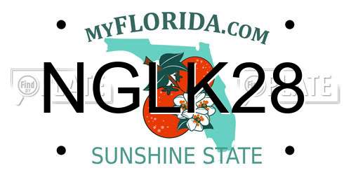 NGLK28 Florida License Plate