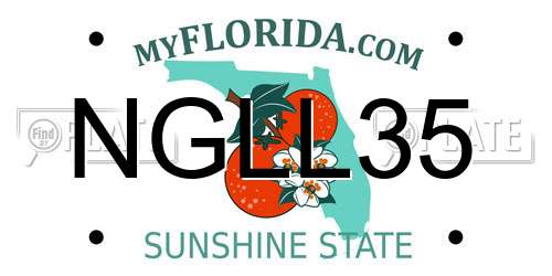 NGLL35 Florida License Plate