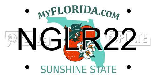 NGLR22 Florida License Plate