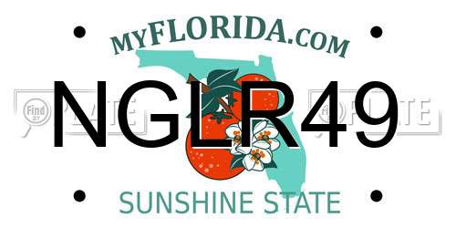 NGLR49 Florida License Plate