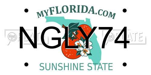 NGLY74 Florida License Plate