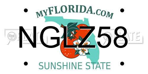 NGLZ58 Florida License Plate