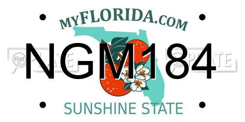 NGM184 Florida License Plate