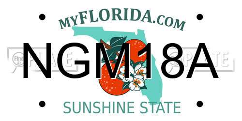 NGM18A Florida License Plate