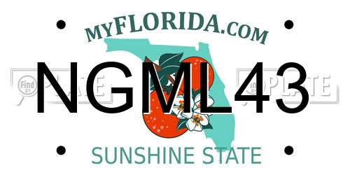 NGML43 Florida License Plate