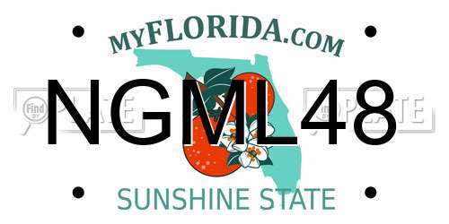 NGML48 Florida License Plate