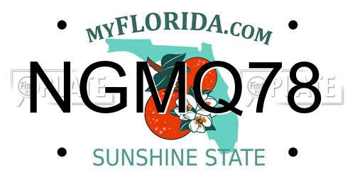 NGMQ78 Florida License Plate