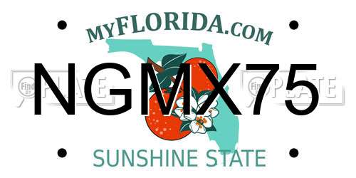 NGMX75 Florida License Plate