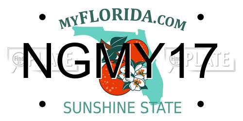 NGMY17 Florida License Plate