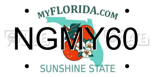 NGMY60 Florida License Plate