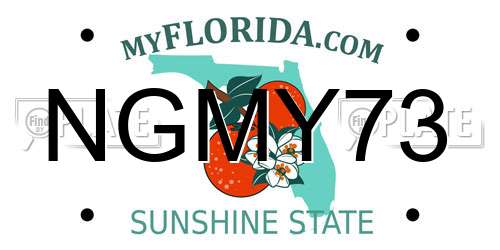NGMY73 Florida License Plate