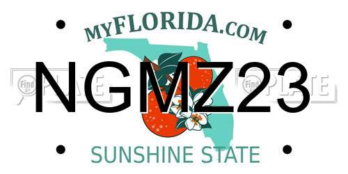 NGMZ23 Florida License Plate