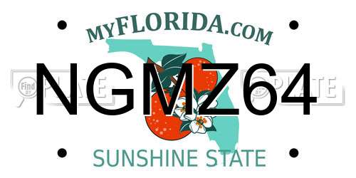 NGMZ64 Florida License Plate