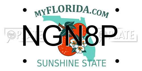 NGN8P Florida License Plate