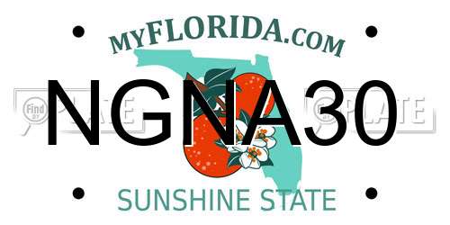 NGNA30 Florida License Plate