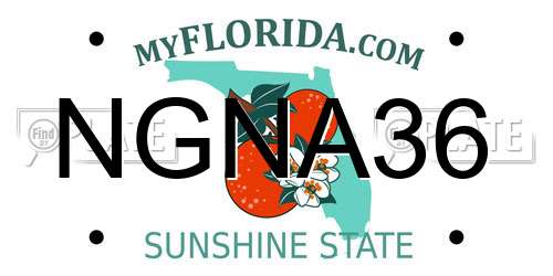 NGNA36 Florida License Plate