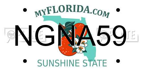 NGNA59 Florida License Plate