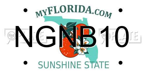 NGNB10 Florida License Plate