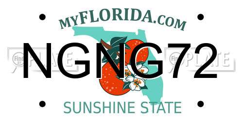 NGNG72 Florida License Plate