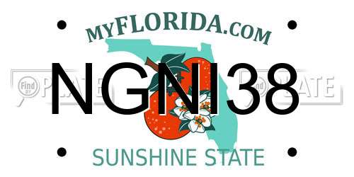 NGNI38 Florida License Plate