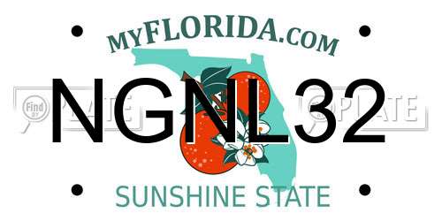 NGNL32 Florida License Plate
