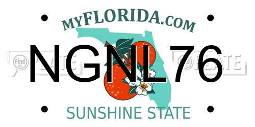NGNL76 Florida License Plate