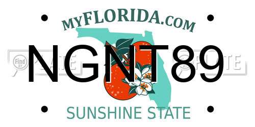 NGNT89 Florida License Plate