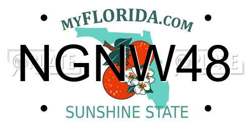 NGNW48 Florida License Plate
