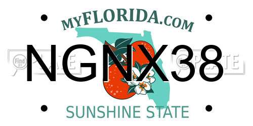 NGNX38 Florida License Plate